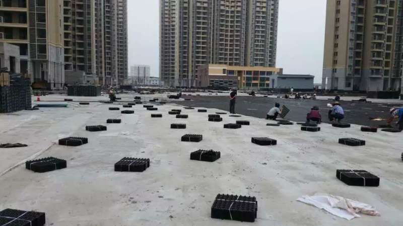 屋頂花台91成人看片在线哪個好?